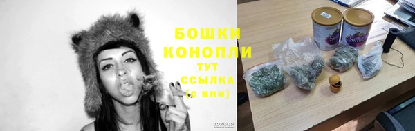 2c-b Лагань