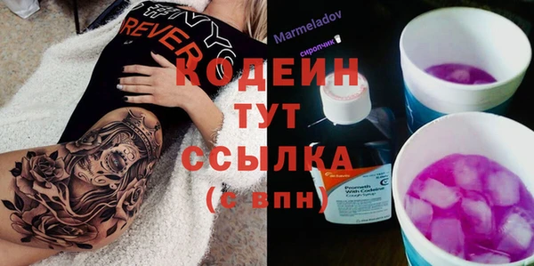 скорость Ладушкин
