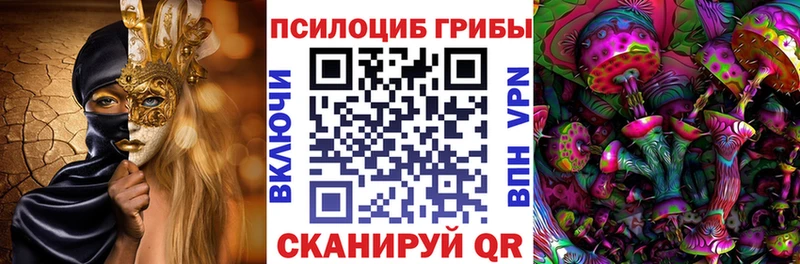 Псилоцибиновые грибы Psilocybe  гидра   Щигры 